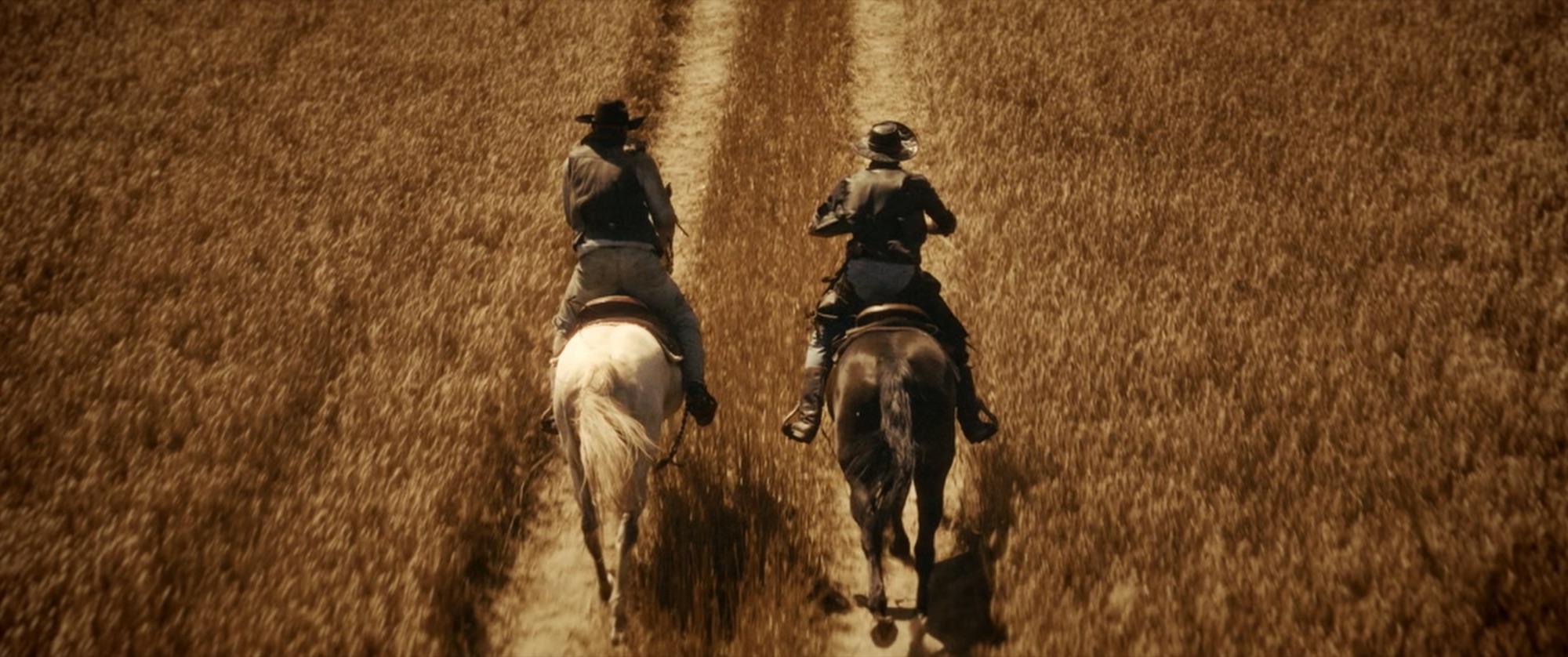 Overhead rear view of two riders on white and dark horses cantering down a track through golden wheat - Amon Amarth